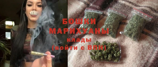 шишки Заводоуковск
