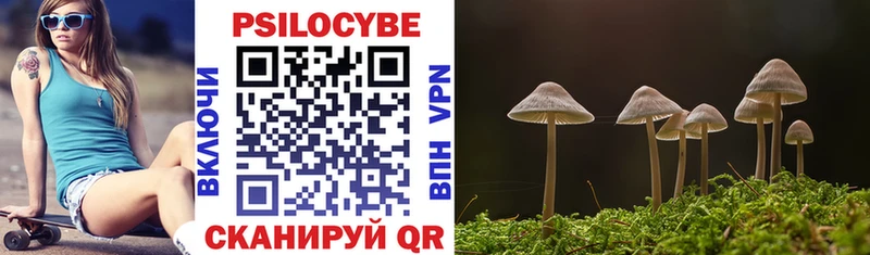 сколько стоит  Стародуб  Галлюциногенные грибы Cubensis 